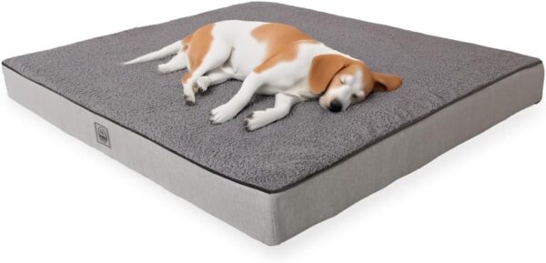 XL Orthopedic Dog Bed