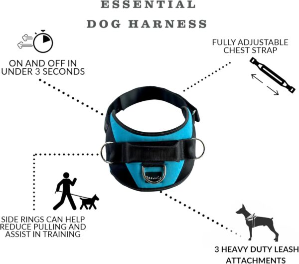 ShawnCo Essential Dog Harness - Image 2