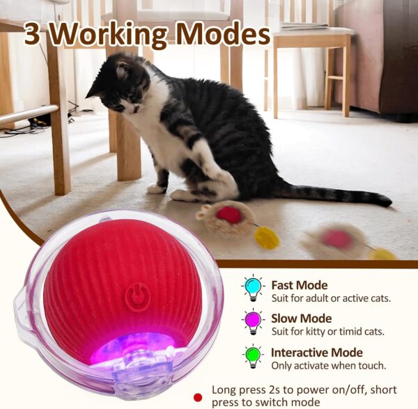 Interactive Cat Toy - Image 3