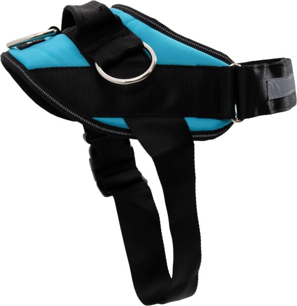 ShawnCo Essential Dog Harness