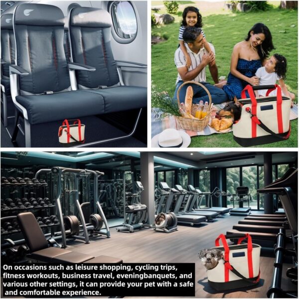 Small Pet Travel Carrier - Image 3
